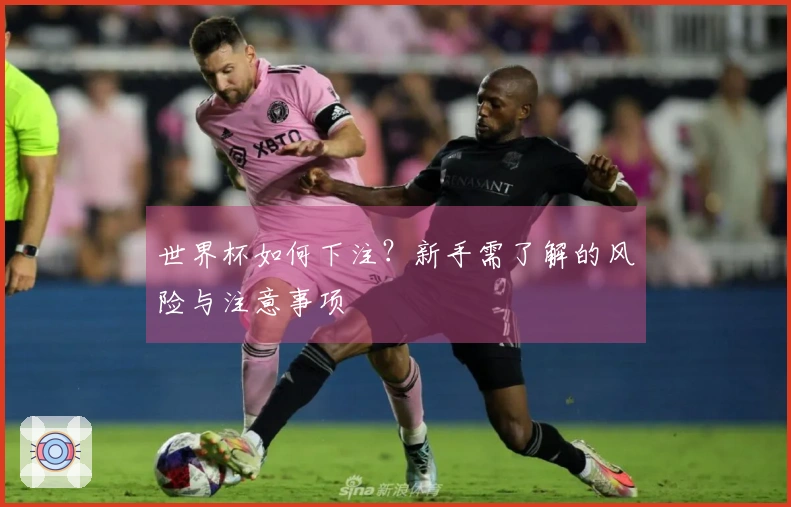 世界杯如何下注？新手需了解的风险与注意事项