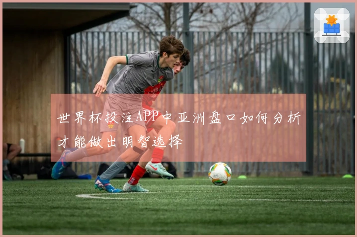 世界杯投注APP中亚洲盘口如何分析才能做出明智选择